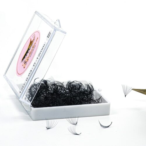 Loose Promade Fans 12D - 500Fans - Premium Quality Promade Loose Fans - VNLASHES