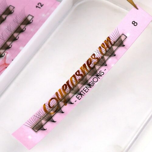 10D Promade Fans L Trays 10D-120Fans Premade Fans Volume Eyelash Extensions VNLASHES