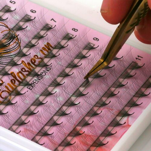 14D Promade Fans L Trays 14D-120Fans Premade Fans Volume Eyelash Extensions VNLASHES