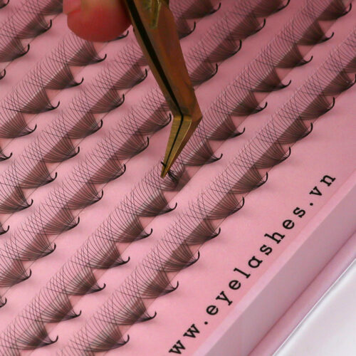 14D Promade Fans XL Tray 14D - 400Fans - Premade Fans Eyelash Extensions -VNLASHES