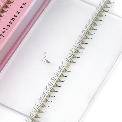 4D Promade Fans XL Tray 4D - 600Fans - Premade Fans Eyelash Extensions -VNLASHES