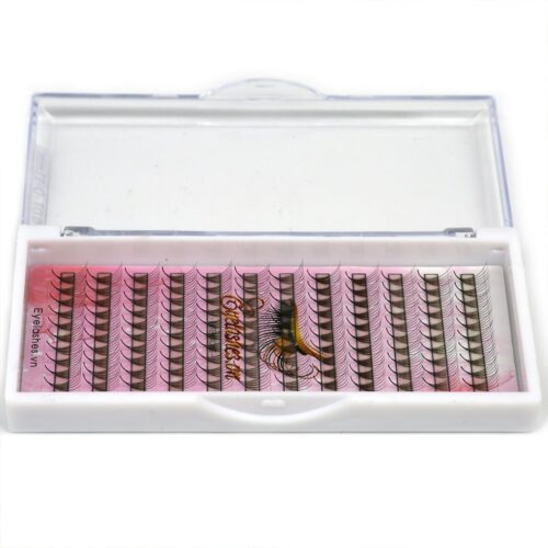 5D Promade Fans L Trays 5D-120Fans Premade Fans Volume Eyelash Extensions VNLASHES