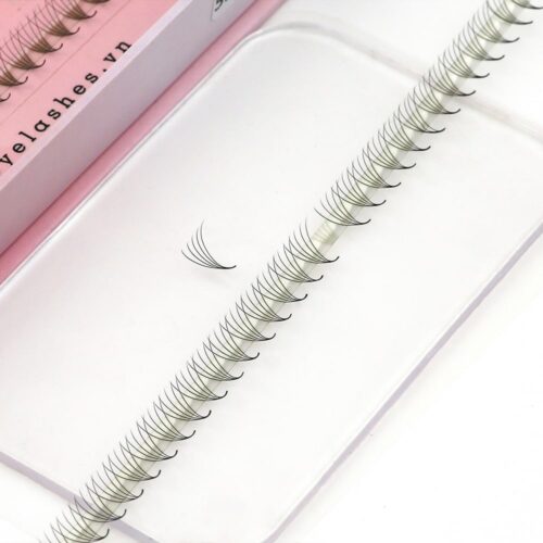 Promade Fans XL Tray 5D - 600Fans - Premade Fans Eyelash Extensions -VNLASHES