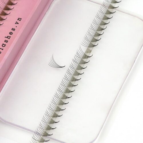 6D Promade Fans XL Tray 6D - 600Fans - Premade Fans Eyelash Extensions -VNLASHES