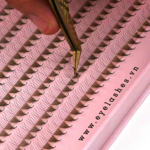 6D Promade Fans XL Tray 6D - 600Fans - Premade Fans Eyelash Extensions -VNLASHES