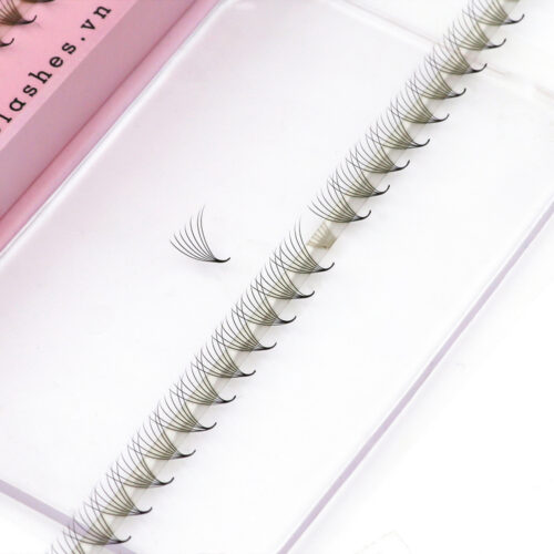 7D Promade Fans XL Tray 7D - 500Fans - Premade Fans Eyelash Extensions -VNLASHES