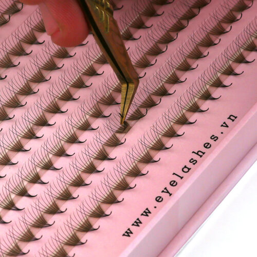 7D Promade Fans XL Tray 7D - 500Fans - Premade Fans Eyelash Extensions -VNLASHES