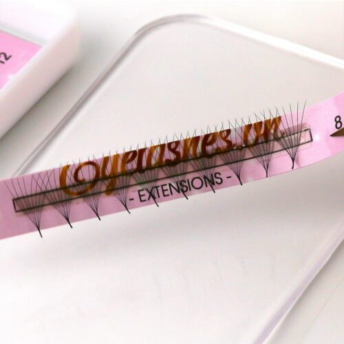 8D Promade Fans L Trays 8D-120Fans Premade Fans Volume Eyelash Extensions VNLASHES