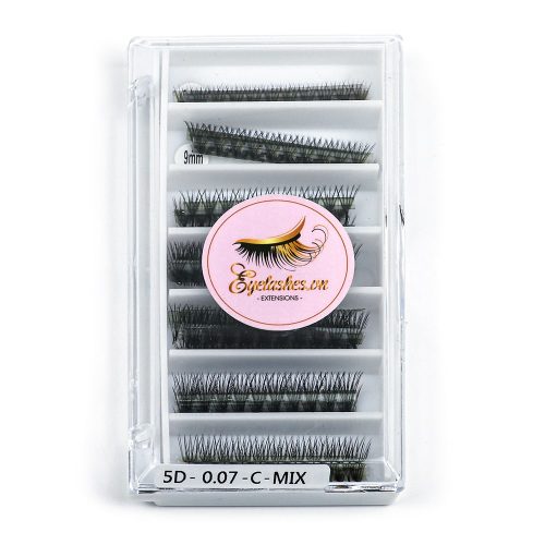 Ultra-Speed Promade fan 5D Premade Fan Volume Eyelash Extension VNLASHES