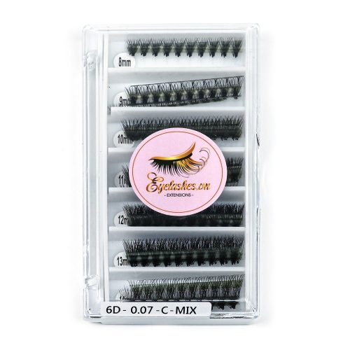 Ultra-Speed Promade fan 6D Premade Fan Volume Eyelash Extension VNLASHES