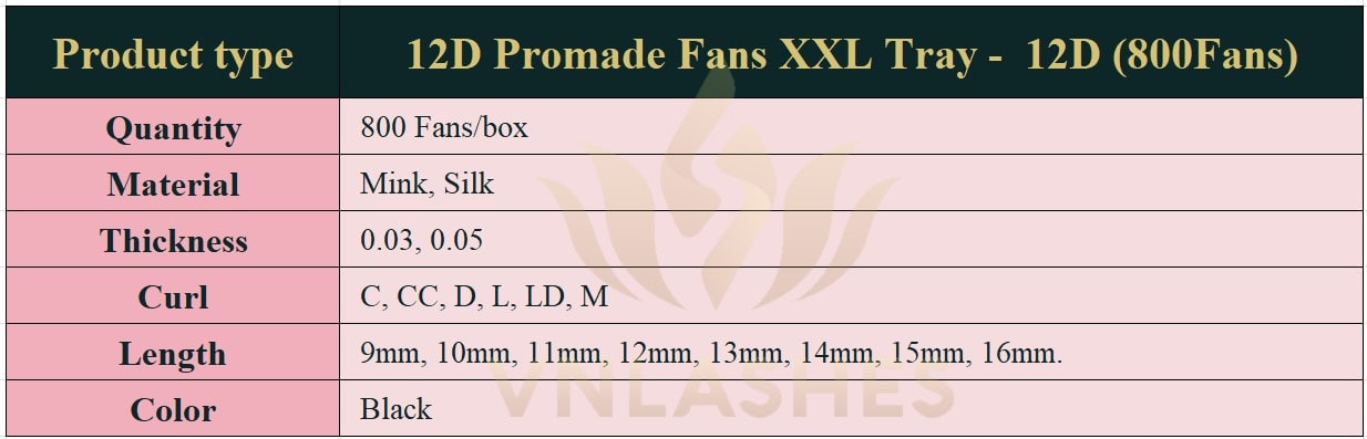 Product information Promade Fans 12D XXL Tray - 800Fans - Premade Fans Volume Eyelash Extensions -VNLASHES