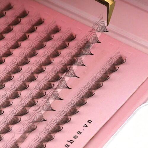 14D Promade Fans 14D XXL Tray - 800Fans - Premade Fans Volume Eyelash Extensions -VNLASHES