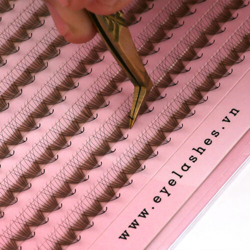 8D Promade Fans 8D XXL Tray - 1000Fans - Premade Fans Volume Eyelash Extensions -VNLASHES