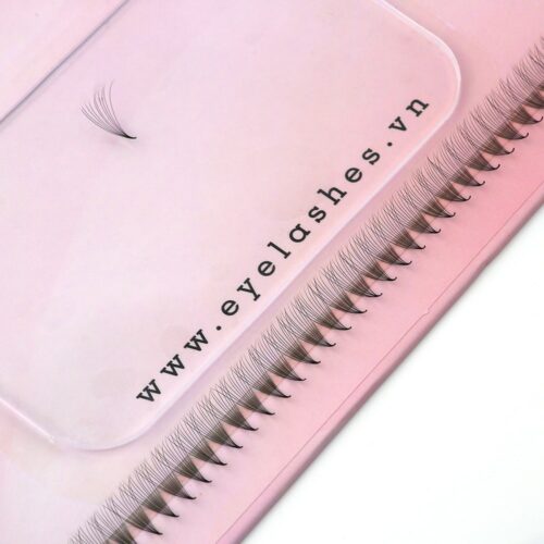 Narrow Lashes 10D Promade Fans XL Tray 10D - 680Fans - Premade Fans Eyelash Extensions -VNLASHES