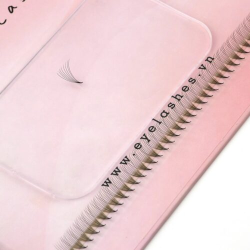 Narrow Lashes 8D Promade Fans XL Tray 8D - 720Fans - Premade Fans Eyelash Extensions -VNLASHES