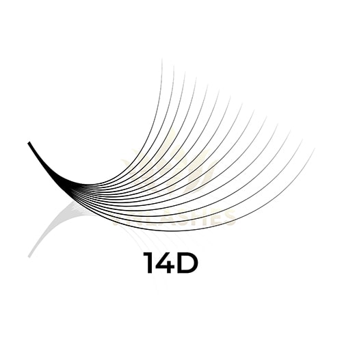 14D Promade Fans Volume Eyelash Extension - VNLASHES
